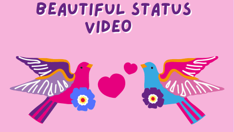 beautiful status video download